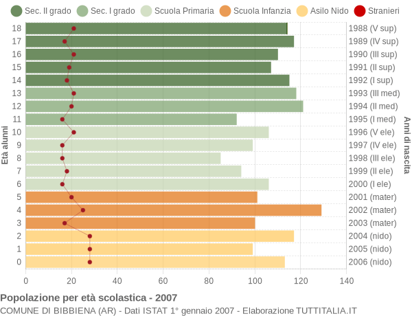 Grafico Popolazione in età scolastica - Bibbiena 2007