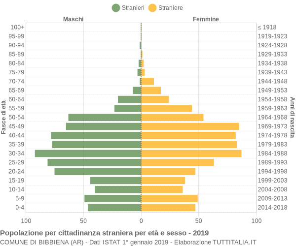 Grafico cittadini stranieri - Bibbiena 2019