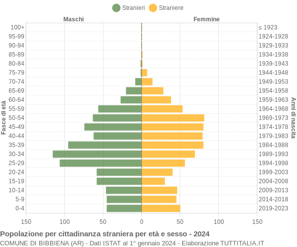 Grafico cittadini stranieri - Bibbiena 2024