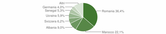 Grafico cittadinanza stranieri - Bibbona 2013