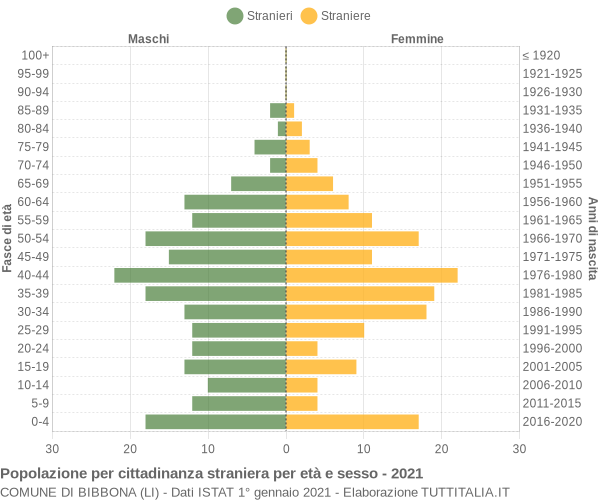 Grafico cittadini stranieri - Bibbona 2021