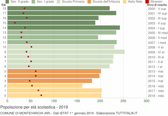 Grafico Popolazione in età scolastica - Montevarchi 2019