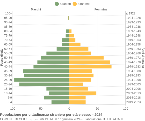 Grafico cittadini stranieri - Chiusi 2024