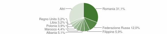 Grafico cittadinanza stranieri - Forte dei Marmi 2015
