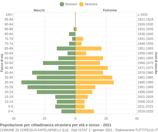 Grafico cittadini stranieri - Coreglia Antelminelli 2021