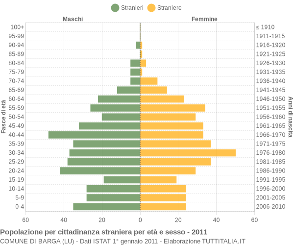 Grafico cittadini stranieri - Barga 2011