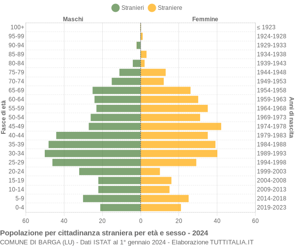 Grafico cittadini stranieri - Barga 2024