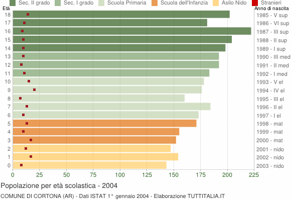 Grafico Popolazione in età scolastica - Cortona 2004