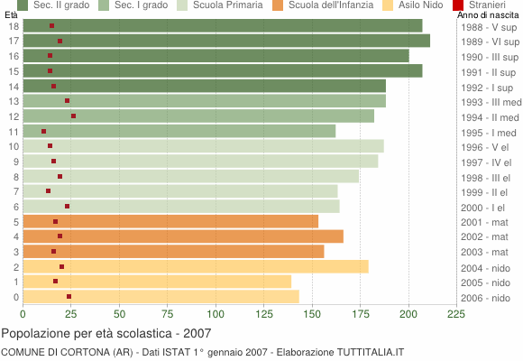 Grafico Popolazione in età scolastica - Cortona 2007