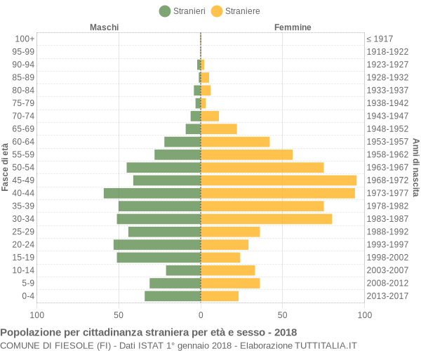 Grafico cittadini stranieri - Fiesole 2018