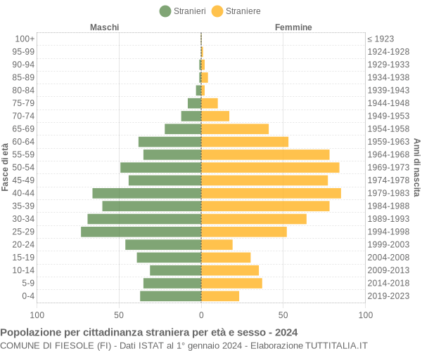 Grafico cittadini stranieri - Fiesole 2024