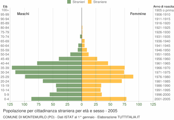 Grafico cittadini stranieri - Montemurlo 2005