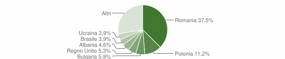 Grafico cittadinanza stranieri - Pienza 2011