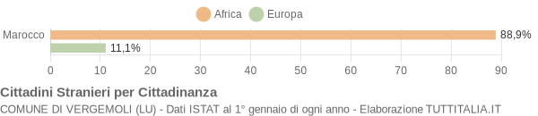 Grafico cittadinanza stranieri - Vergemoli 2006