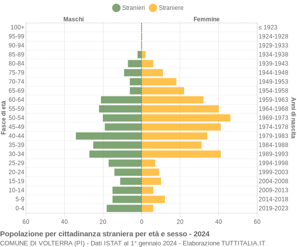 Grafico cittadini stranieri - Volterra 2024