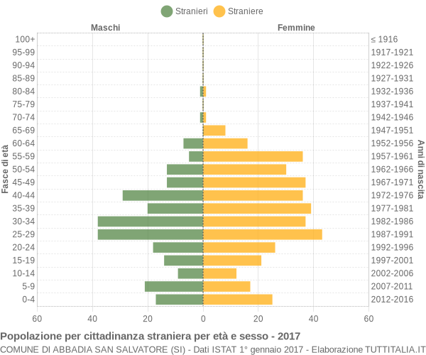 Grafico cittadini stranieri - Abbadia San Salvatore 2017