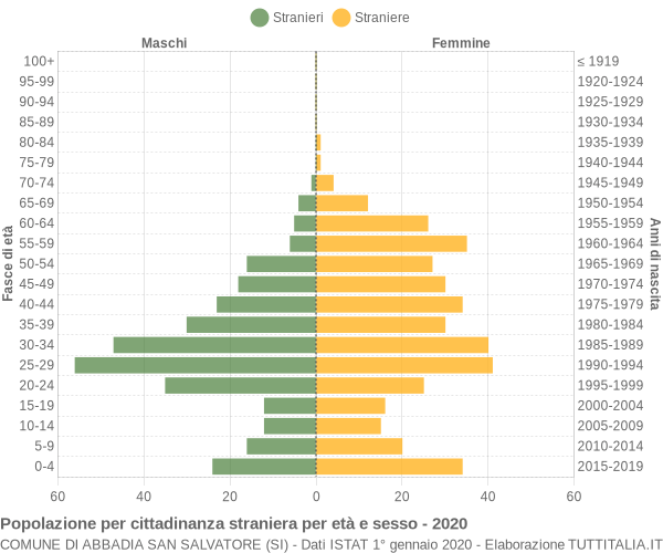 Grafico cittadini stranieri - Abbadia San Salvatore 2020