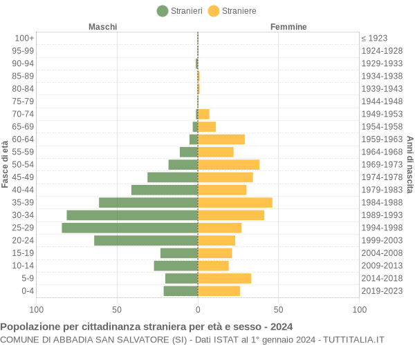 Grafico cittadini stranieri - Abbadia San Salvatore 2024