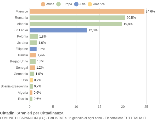 Grafico cittadinanza stranieri - Capannori 2011