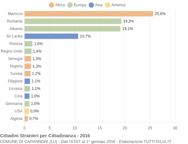 Grafico cittadinanza stranieri - Capannori 2016