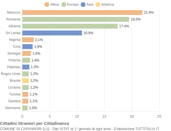 Grafico cittadinanza stranieri - Capannori 2019