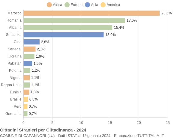 Grafico cittadinanza stranieri - Capannori 2024