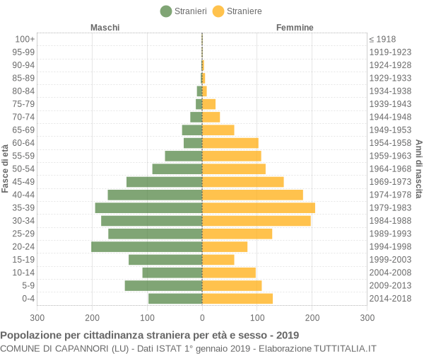 Grafico cittadini stranieri - Capannori 2019