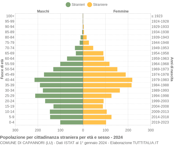 Grafico cittadini stranieri - Capannori 2024