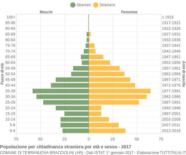 Grafico cittadini stranieri - Terranuova Bracciolini 2017