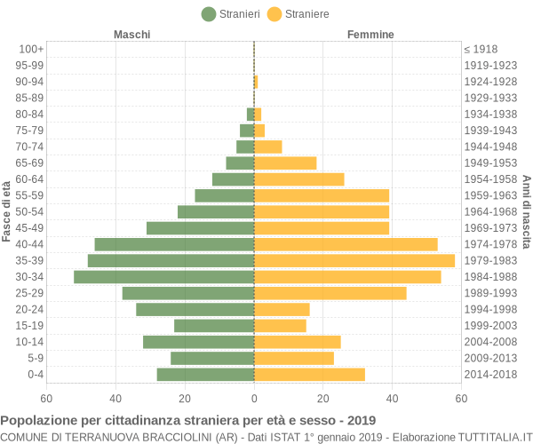 Grafico cittadini stranieri - Terranuova Bracciolini 2019