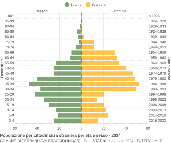 Grafico cittadini stranieri - Terranuova Bracciolini 2024