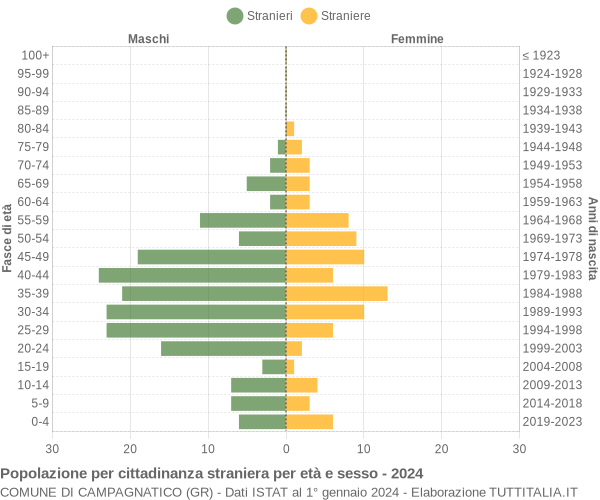 Grafico cittadini stranieri - Campagnatico 2024