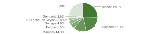 Grafico cittadinanza stranieri - Vicopisano 2009