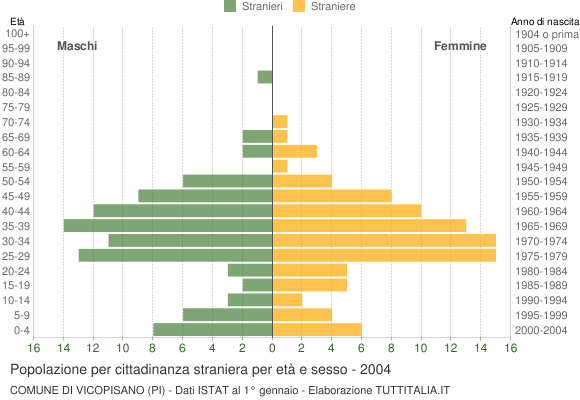 Grafico cittadini stranieri - Vicopisano 2004