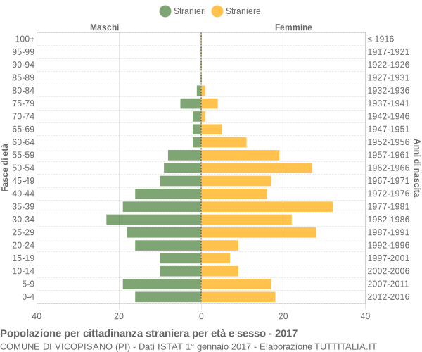 Grafico cittadini stranieri - Vicopisano 2017