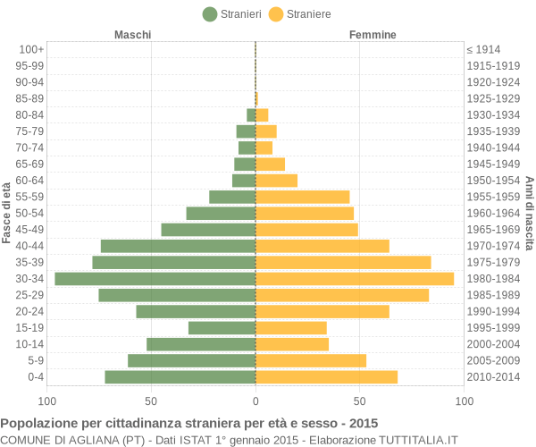 Grafico cittadini stranieri - Agliana 2015