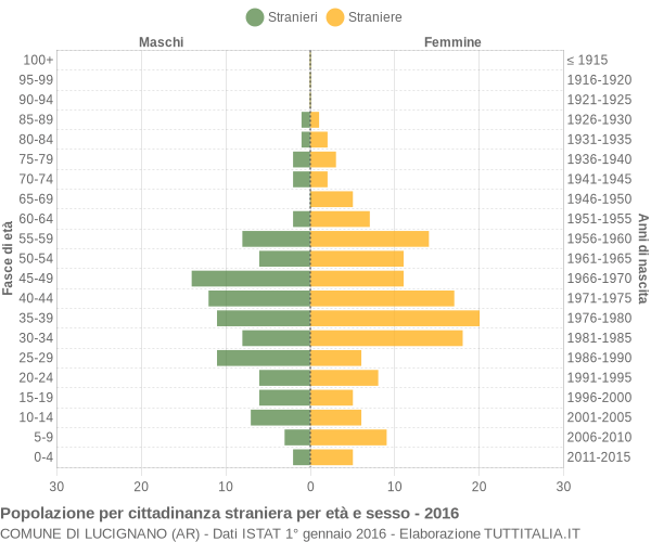 Grafico cittadini stranieri - Lucignano 2016