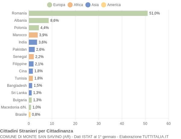 Grafico cittadinanza stranieri - Monte San Savino 2017