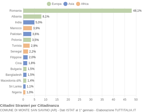 Grafico cittadinanza stranieri - Monte San Savino 2019