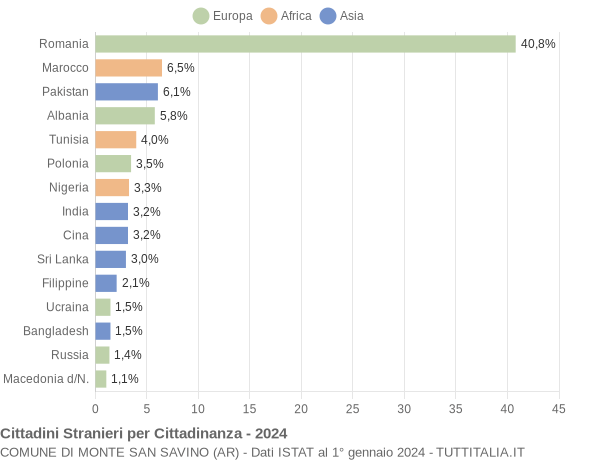 Grafico cittadinanza stranieri - Monte San Savino 2024