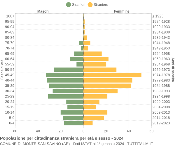 Grafico cittadini stranieri - Monte San Savino 2024