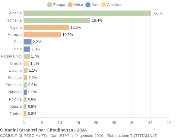 Grafico cittadinanza stranieri - Pescia 2024