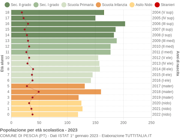 Grafico Popolazione in età scolastica - Pescia 2023