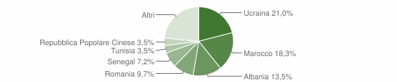 Grafico cittadinanza stranieri - Piombino 2007