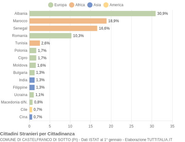 Grafico cittadinanza stranieri - Castelfranco di Sotto 2008