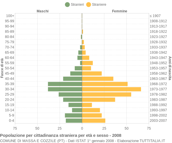 Grafico cittadini stranieri - Massa e Cozzile 2008