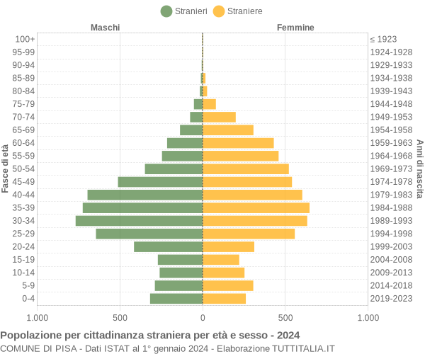 Grafico cittadini stranieri - Pisa 2024