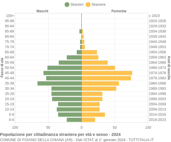 Grafico cittadini stranieri - Foiano della Chiana 2024