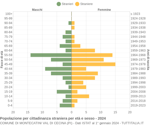 Grafico cittadini stranieri - Montecatini Val di Cecina 2024