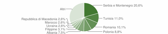 Grafico cittadinanza stranieri - Buonconvento 2007